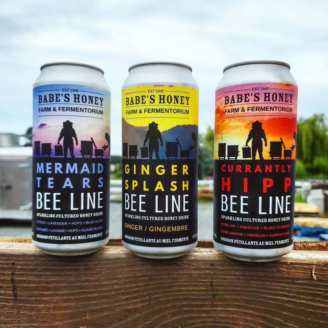 Currantly Hip - Raw Honey Kombucha - Babe's Honey Farm