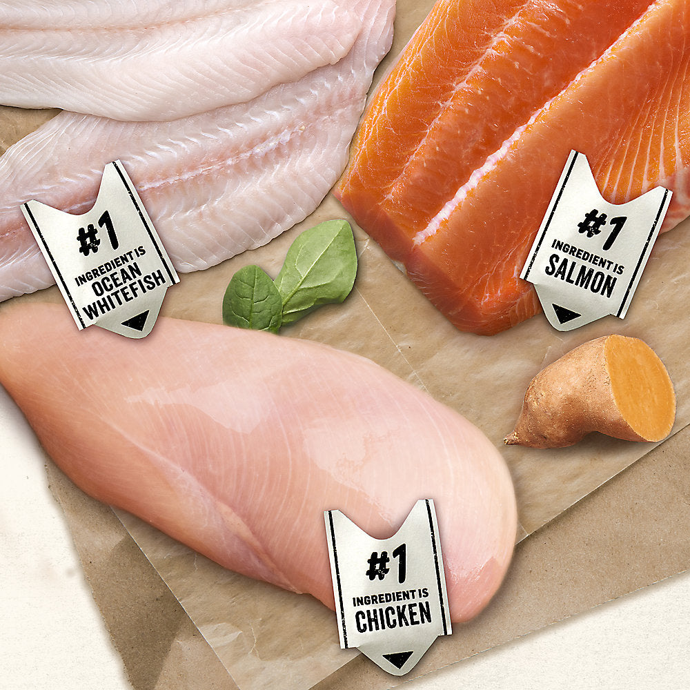 Purina® Beyond® 12 pk - Grain Free Pate Adult Cat Food - 3 Flavours Variety Pack