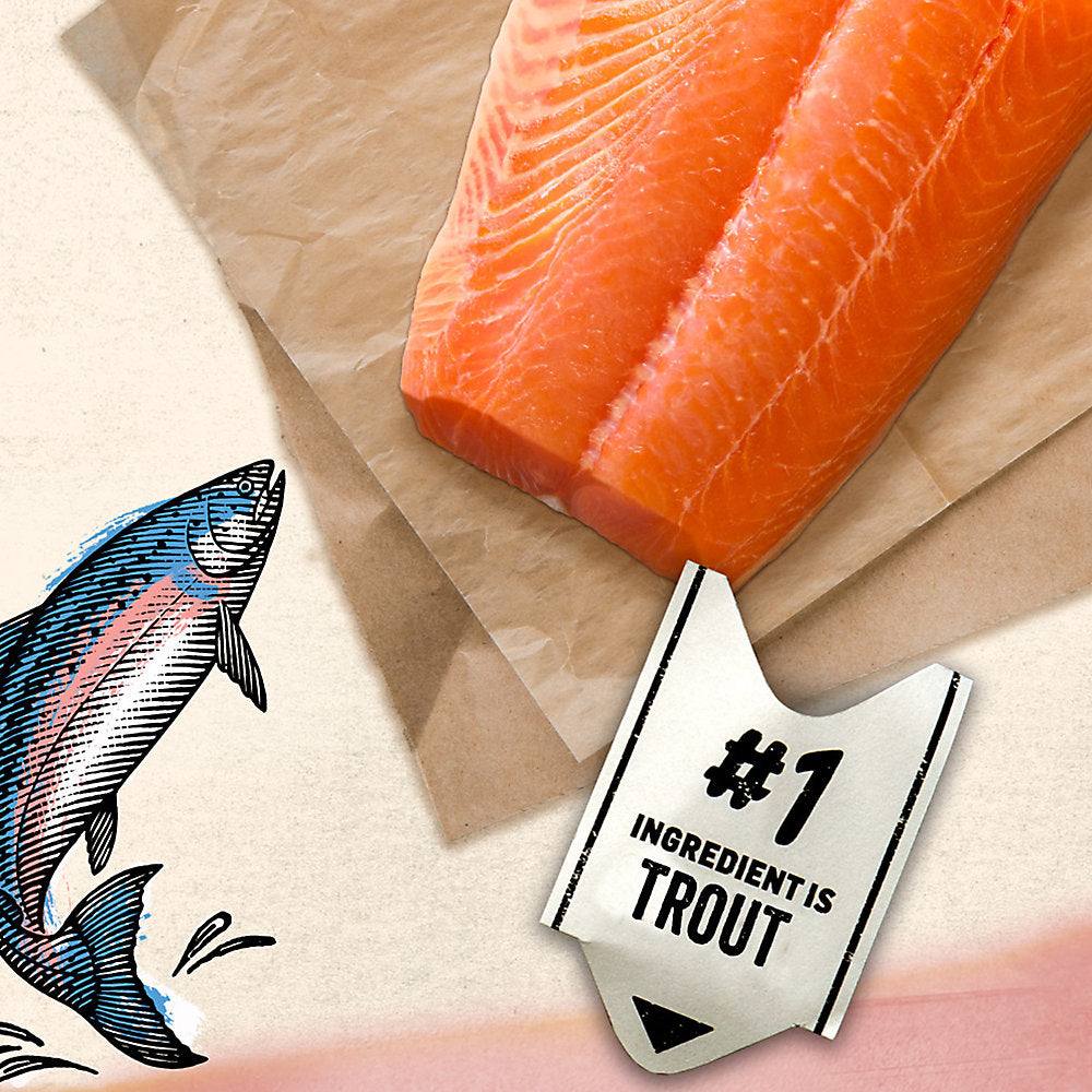 Purina® Beyond® Grain Free Adult Cat Food - Trout & Catfish Pate Recipe