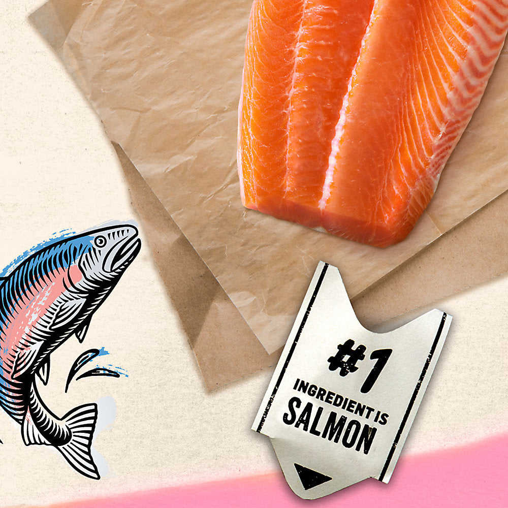 Purina® Beyond® Grain Free Adult Cat Food - Wild Salmon Pate Recipe