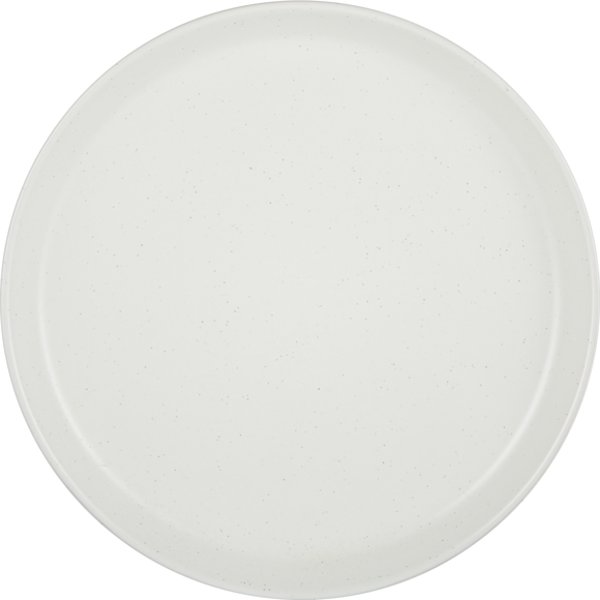 Presidents Choice Speckle Dinner Plate