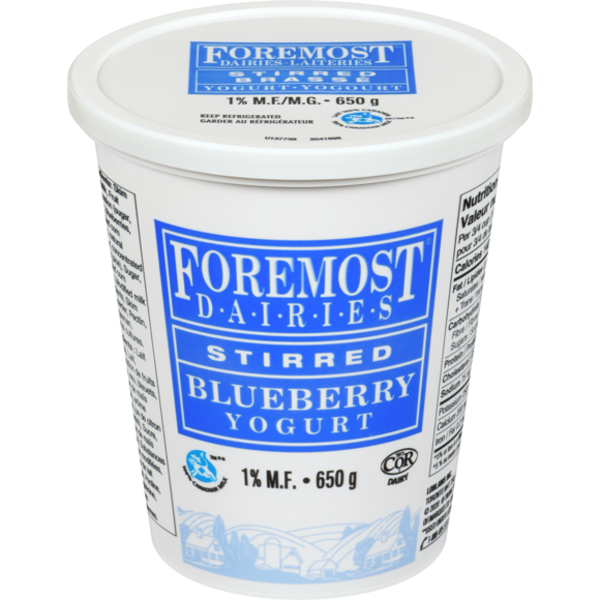 Foremost Blueberry Yogurt