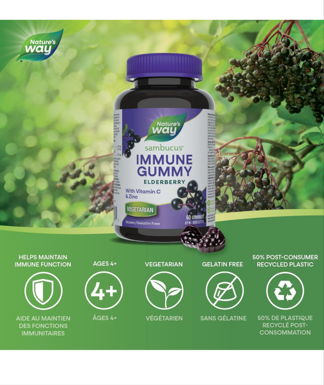 Nature's Way Sambucus Elderberry Gummies