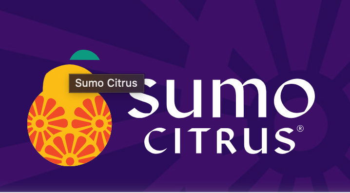 'Sumo' Citrus Mandarin (6pk)