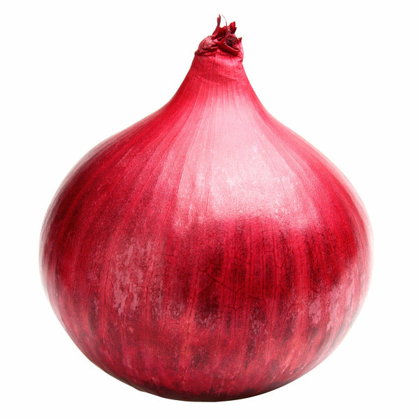 Red Onion Bag (5lb)