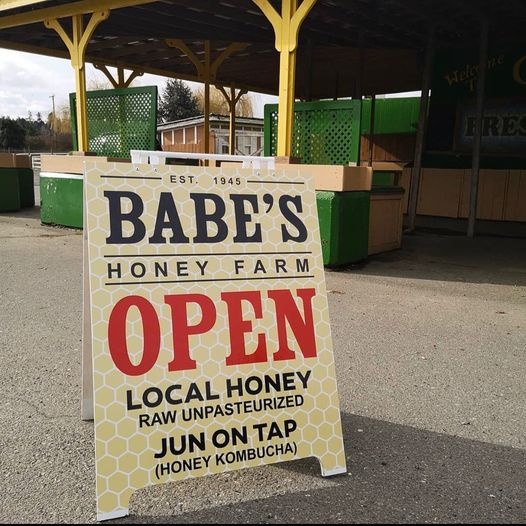 Currantly Hip - Raw Honey Kombucha - Babe's Honey Farm