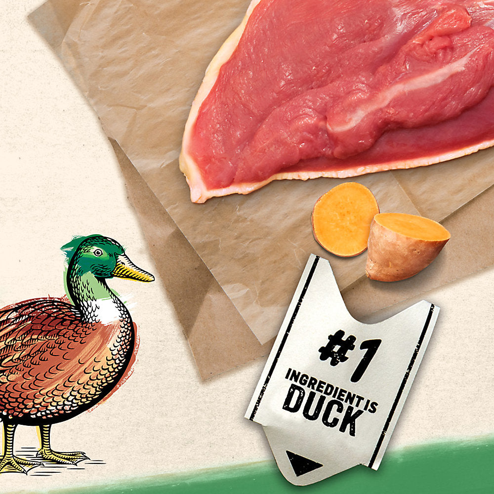 Purina® Beyond® Grain Free Adult Cat Food - Duck & Sweet Potato Pate Recipe