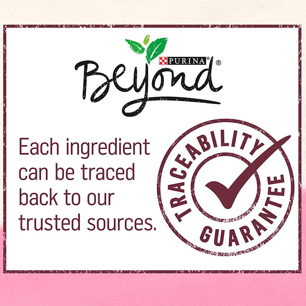 Purina® Beyond® Grain Free Adult Cat Food - Trout & Catfish Pate Recipe