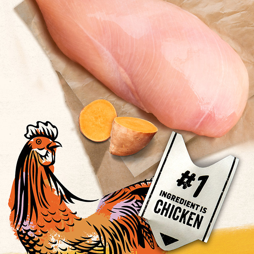 Purina® Beyond® Grain Free Adult Cat Food - Chicken & Sweet Potato Pate Recipe