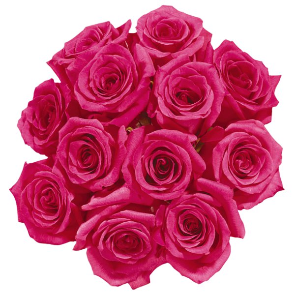 Presidents Choice 50 Cm Coloured Roses